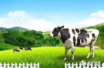 20170414112984988498