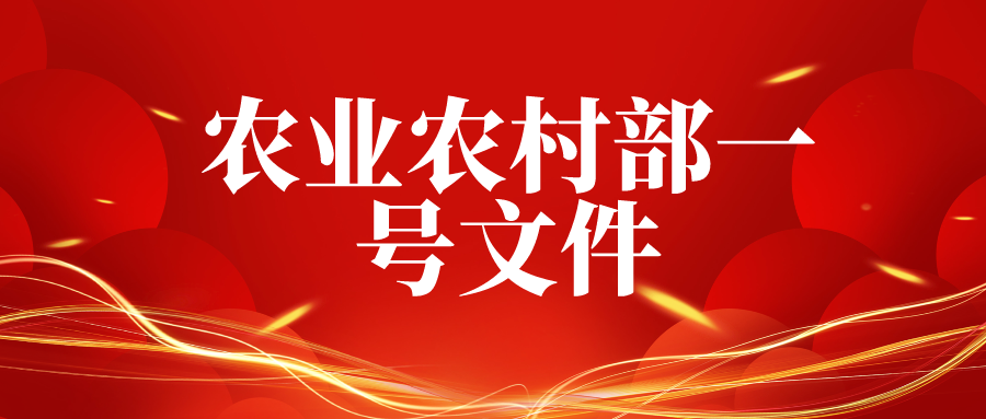 20240220085939743974