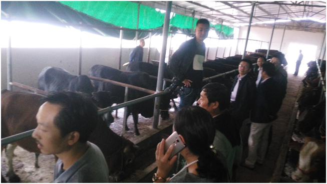 DB�羺(DBGame)�ٷ���վ