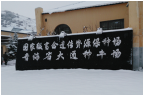 DB�羺(DBGame)�ٷ���վ