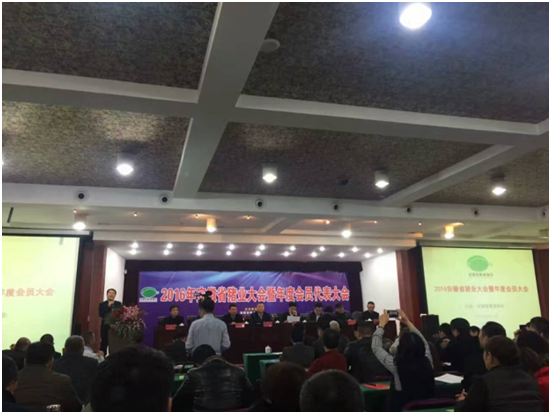 DB�羺(DBGame)�ٷ���վ