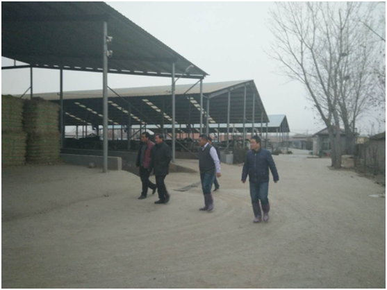 DB�羺(DBGame)�ٷ���վ