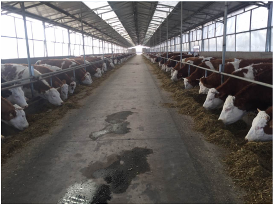 DB�羺(DBGame)�ٷ���վ