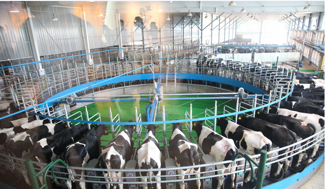 DB�羺(DBGame)�ٷ���վ