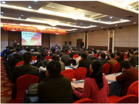 DB�羺(DBGame)�ٷ���վ