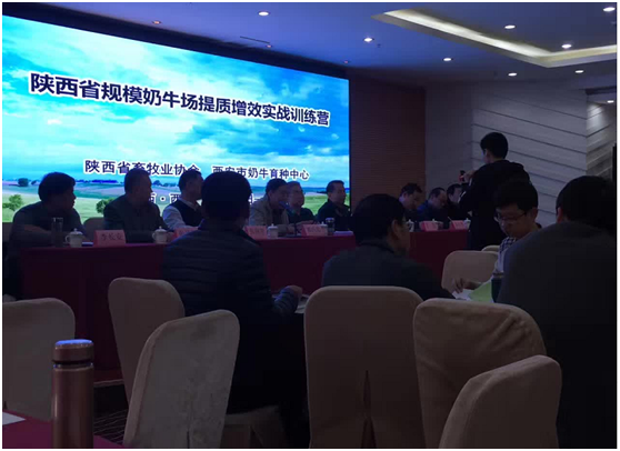 DB�羺(DBGame)�ٷ���վ