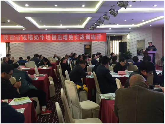 DB�羺(DBGame)�ٷ���վ