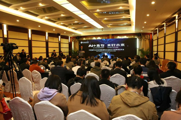 DB�羺(DBGame)�ٷ���վ