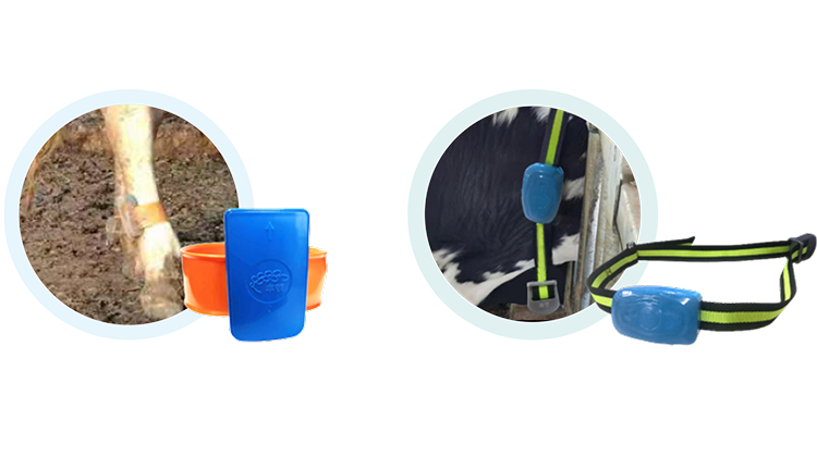 DB�羺(DBGame)�ٷ���վ