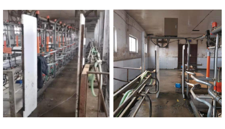 DB�羺(DBGame)�ٷ���վ