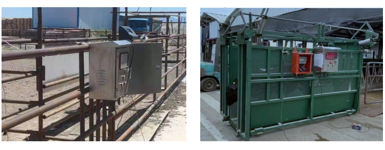 DB�羺(DBGame)�ٷ���վ