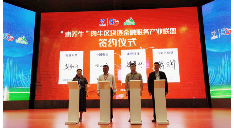 DB�羺(DBGame)�ٷ���վ