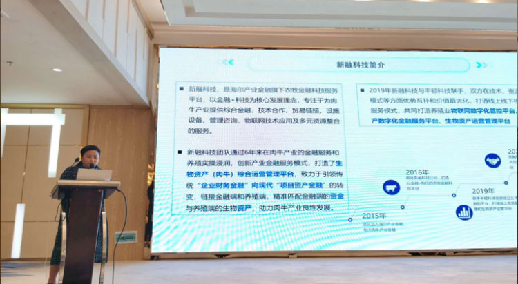 DB�羺(DBGame)�ٷ���վ