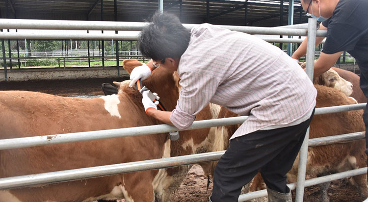 DB�羺(DBGame)�ٷ���վ