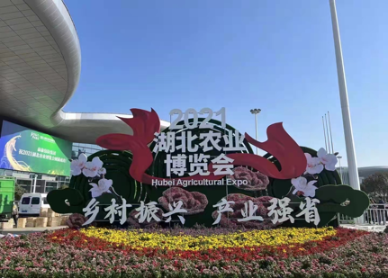 DB�羺(DBGame)�ٷ���վ