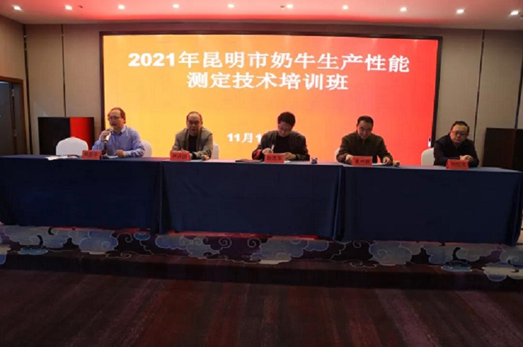 DB�羺(DBGame)�ٷ���վ