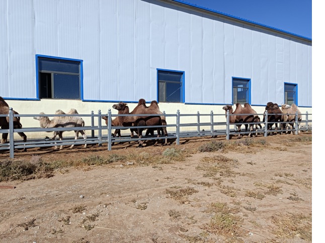 DB�羺(DBGame)�ٷ���վ