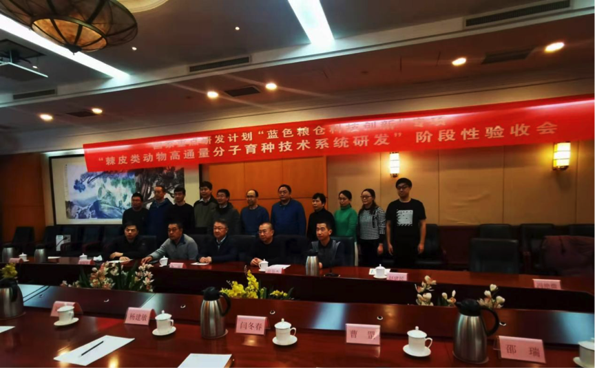 DB�羺(DBGame)�ٷ���վ