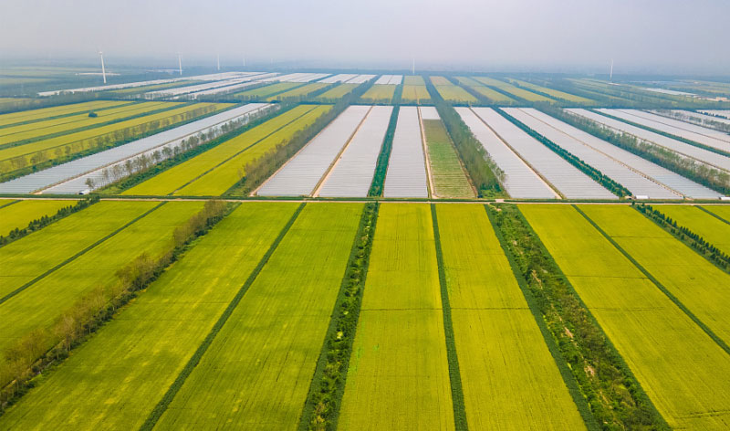 DB�羺(DBGame)�ٷ���վ