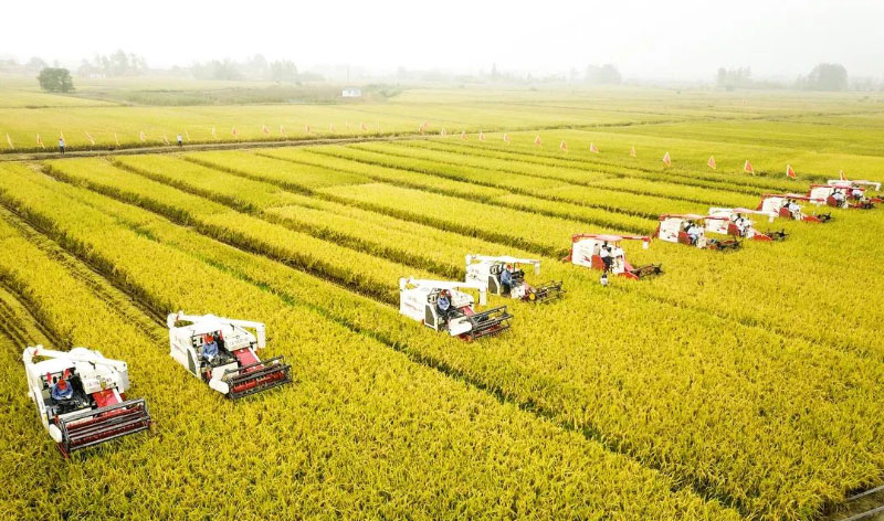 DB�羺(DBGame)�ٷ���վ