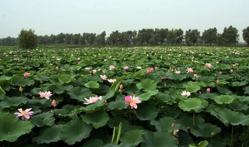 DB�羺(DBGame)�ٷ���վ