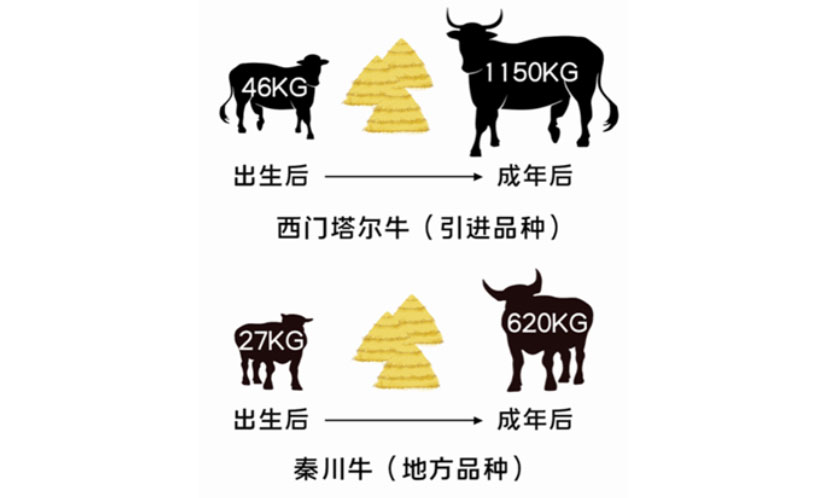 DB�羺(DBGame)�ٷ���վ