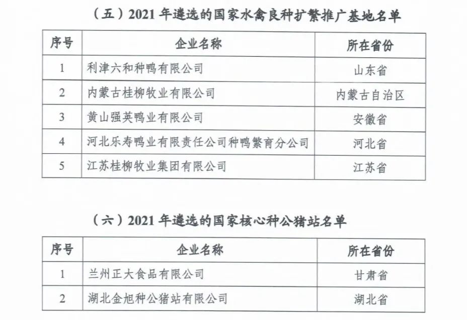 DB�羺(DBGame)�ٷ���վ