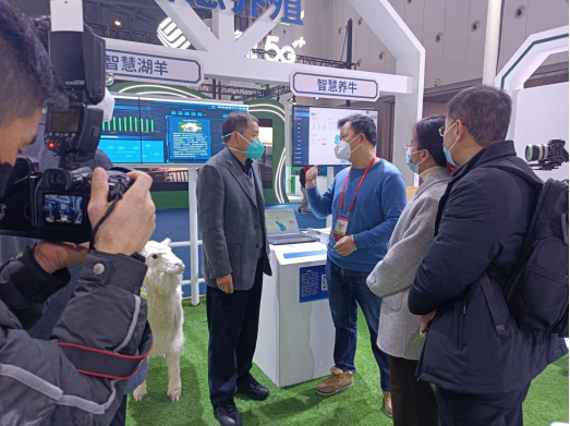 DB�羺(DBGame)�ٷ���վ