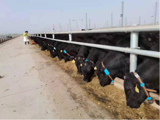 DB�羺(DBGame)�ٷ���վ