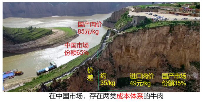 DB�羺(DBGame)�ٷ���վ