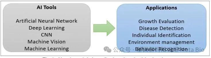 DB�羺(DBGame)�ٷ���վ