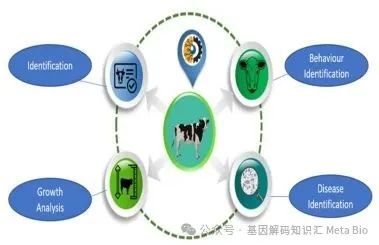 DB�羺(DBGame)�ٷ���վ