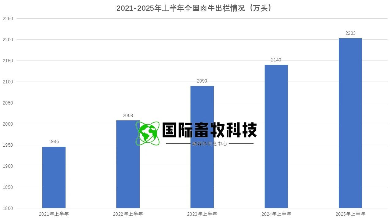 DB�羺(DBGame)�ٷ���վ